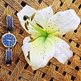 Relógio TECHNOS Feminino Unique 2035MCA/4A - oticasvitoria