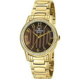 Relógio Champion Feminino Passion Dourado CH24740R - oticasvitoria
