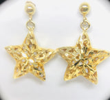 Brinco Pingente Estrela Vazado Ouro 18K - 00095518 - oticasvitoria